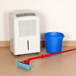 dehumidifier, mop, and bucket